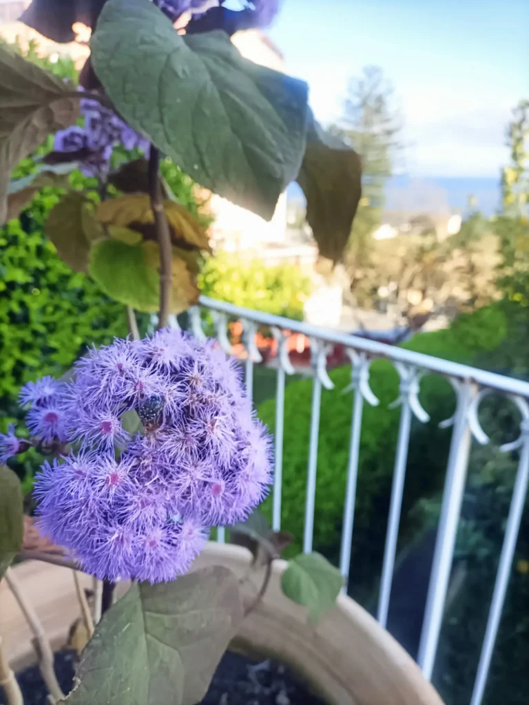 c99b0e71 14f8 4d1d 8d64 4173c8563eae