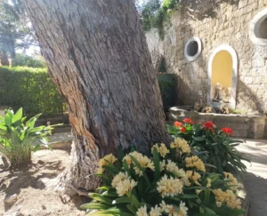 e3098539 860c 4fe8 a93d bea2021b9bcd